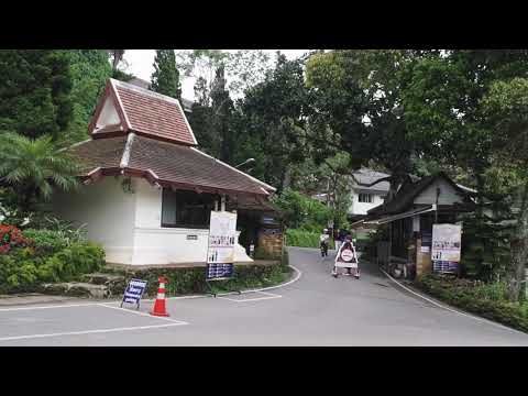 พระตำหนักภูพิงค์ราชนิเวศน์