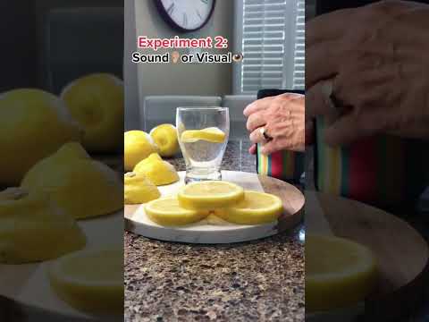 20 lemon fizz experiment