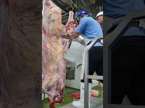 Cttl Splttng with Jrvis Bstr V by Chad Quema