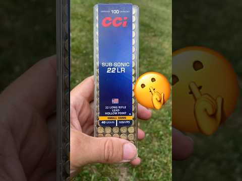 Pest Control With Subsonic 22 Ammo🤫🐿️ #hunting #farm #homestead #22 #shooting #shorts