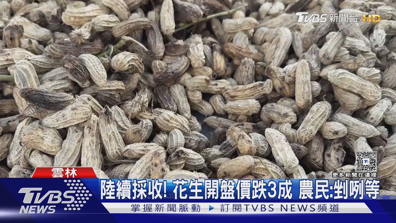 影音/關稅效應? 花生價「跌3成」 農業部駁:不實訊息