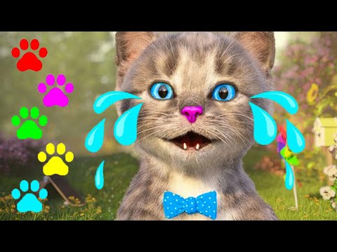 IZOBRAŽEVALNA PUSTOLOVŠČINA MALEGA MUCKA - VIDEO O MAČKI IN MUCKU V ŠOLI - VIDEO ZA MALČKE