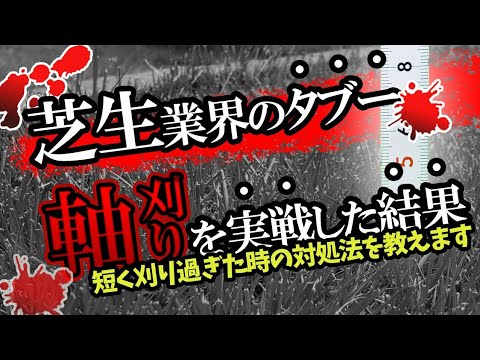 園芸 短く刈りすぎないでください!