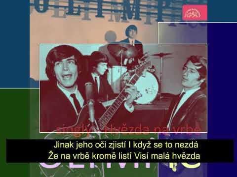 Hvězda na vrbě / Olympic - text