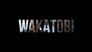 preview picture of video 'WAKATOBI Deep sea diving couple Open Water DIVING  ARJOON'