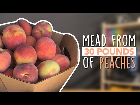 PEACH MEAD FRUIT BOMB: How to make a flavorful peach honey wine | How to make mead!