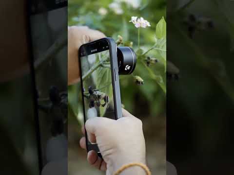 Nature Photography #photoshoot #photography #editing #reels #instagram #ytshorts #shorts #trend