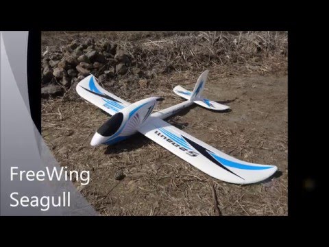 run-cam-2-vs-mobius-action-cam-seagull-