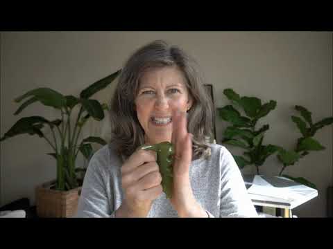 Anma Massage Lesson 1 - How to Release the Forehead & Scalp