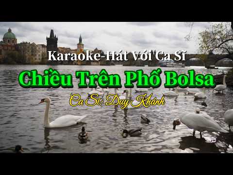 41. Chiều Trên Phố Bolsa
