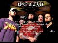 Limp Bizkit - Crack Addict with lyrics 
