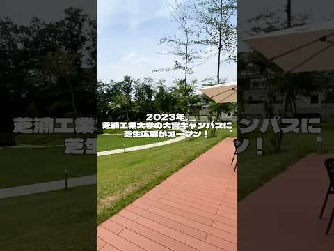 大宮キャンパスの芝生広場🌱 #芝浦工大 #大学生 #sit #キャンパスライフ #大学生の日常 #理系