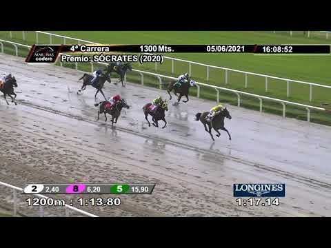 210605 c04 LA MELANIA