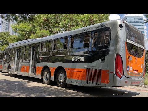 OPERAÇÃO PAESE: VIAÇÃO GATO PRETO e TRANSPPASS  a SERVIÇO da Linha 4-Amarela