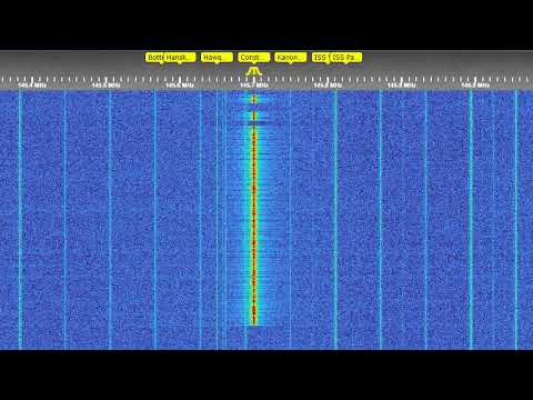 HAMNET Report 2022.11.09