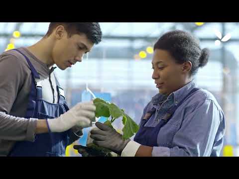 Conozca el programa #PROAgricultor de Syngenta (VIDEO)