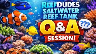 ReefDudes Live Saltwater Aquarium Reef Chat Q&A