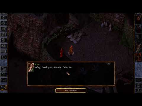 Baldur's Gate: Enhanced Edition - Xzar mourn over Montaron