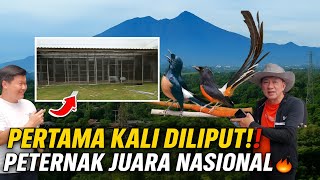 Download lagu PERTAMA KALI DILIPUT‼️KISAH SUKSES PETERNAK MURAI BATU JUARA NASIONAL DIKAKI GUNUNG SALAK IML/RAI BF mp3 Download lagu PERTAMA KALI DILIPUT‼️KISAH SUKSES PETERNAK MURAI BATU JUARA NASIONAL DIKAKI GUNUNG SALAK IML/RAI BF mp3