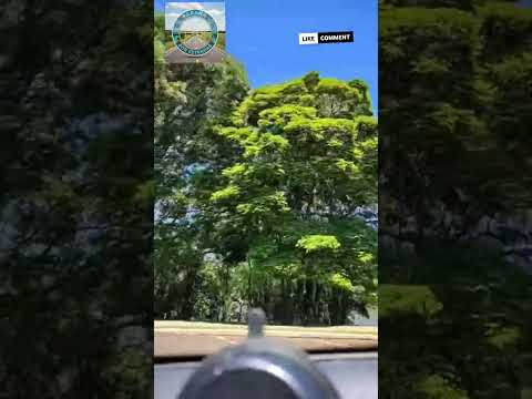 🇧🇷 TURISMO PARANÁ - 🧭 LAGO JABOTI