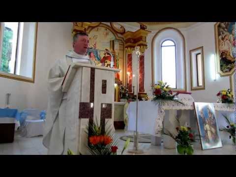 Pustiana: vizita icoanei sfintei Fecioare de la Cacica (predica de vineri seara - 25.05.2012)