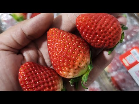 Dâu Hàn Quốc có mặt tại Grandmarket HCM 0907962833