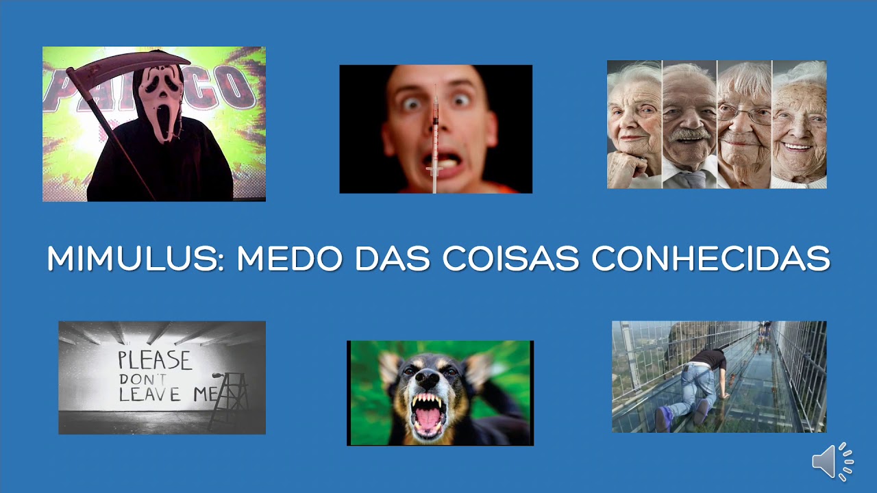 Solange Nunes Martins-7