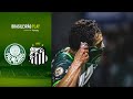 Palmeiras 2x0 Santos |Game Highlights | Final Campeonato Paulista 2024