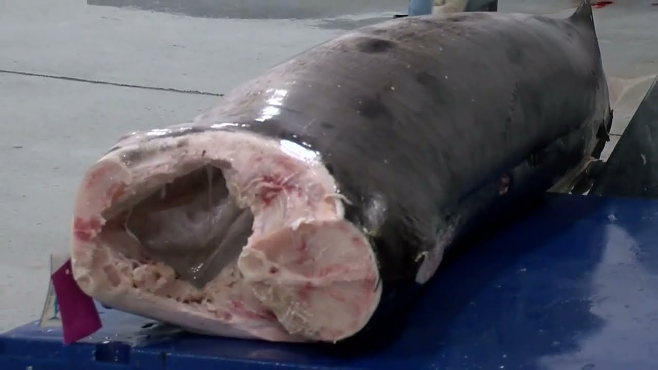 Try the other (other) white meat ... swordfish