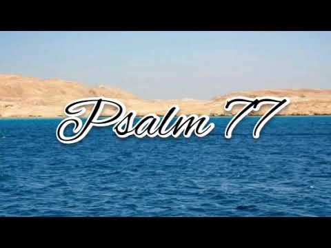 Psalm 77 - NLT Audiovisual