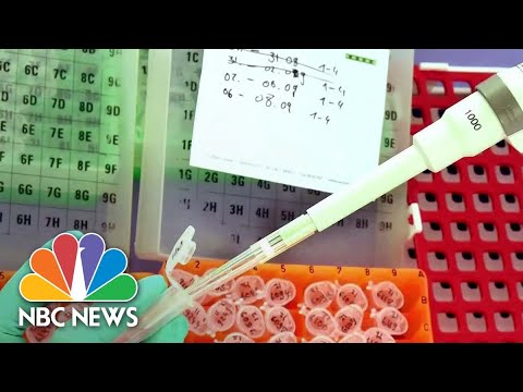 NOW Tonight With Joshua Johnson Full Episode - Jan. 12 | NBC News NOW