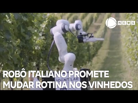 Robô italiano pomete mudar rotina nos vinhedos