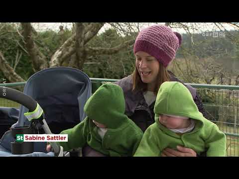 FernG'schaut 04.03.2021 - Steiermark heute