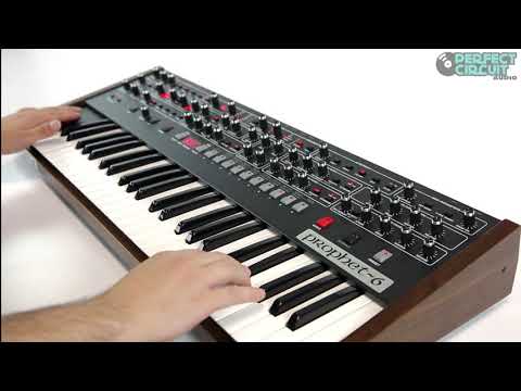 Sequential Prophet-6 Features Demo