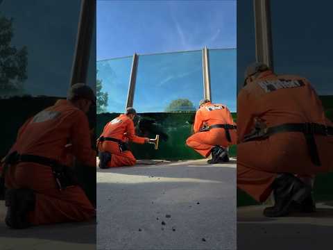 Umyli jsme Zoo Praha! 🦭💦Společně s Kärcher jsme se postarali o čistotu v pražské zoo. 🦁💦 #spoluprace