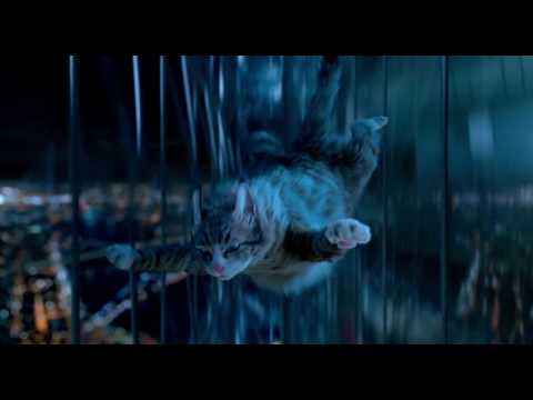 Nine Lives - Mr Fuzzypants?