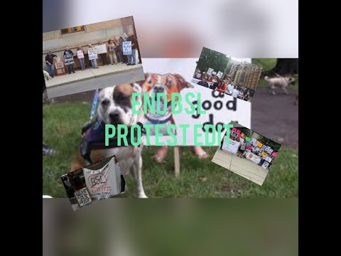 End bsl protest edit