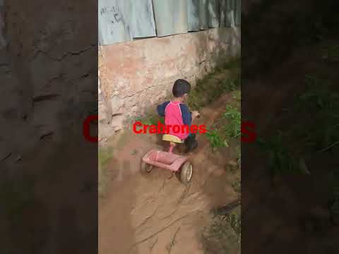 hola siempre clave 702