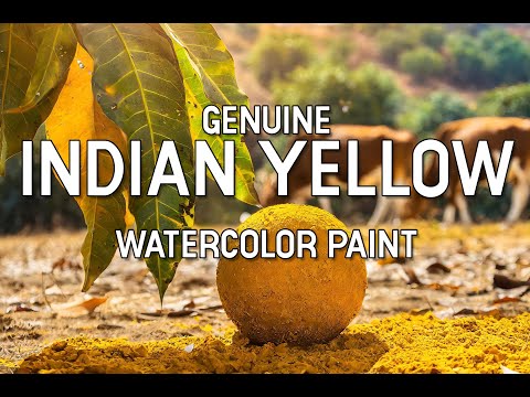 Revealing the Mysteries of Genuine Indian Yellow: From Raw Pigment to Handmade Watercolor