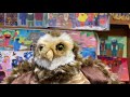 Hoots The Owl Sings It Takes A Street