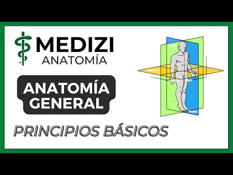 General Anatomy - Basic Principles