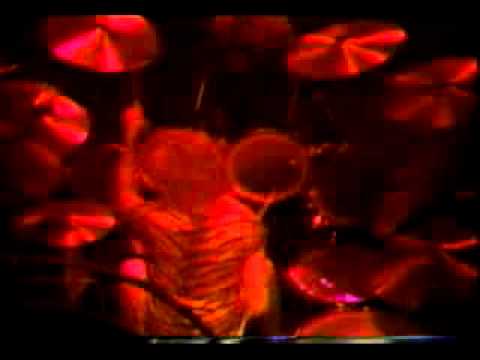 Yngwie Malmsteen Dont Let It End Live.flv