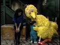 Sesame Street Little Sister