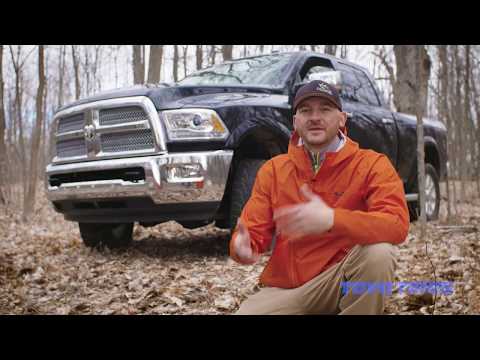 The Canadian Tradition Reviews Toyo Celsius