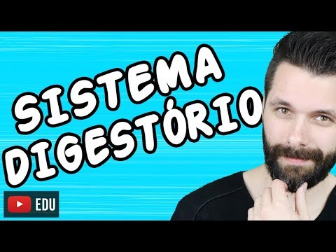 SISTEMA DIGESTÓRIO - FISIOLOGIA - Aula | Biologia com Samuel Cunha
