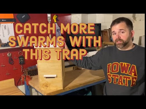 Swarm Traps Part 2 - Building a Better Trap