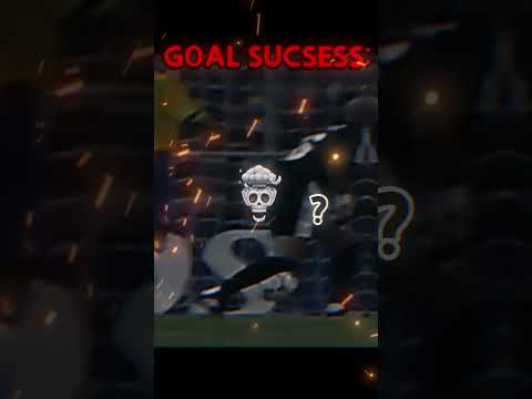 GOAL SUCSESS VS FAIL