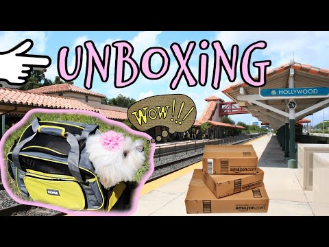 The Best Travel bag for Cats and Dogs, Unboxing OKMEE Honest review I Lorentix