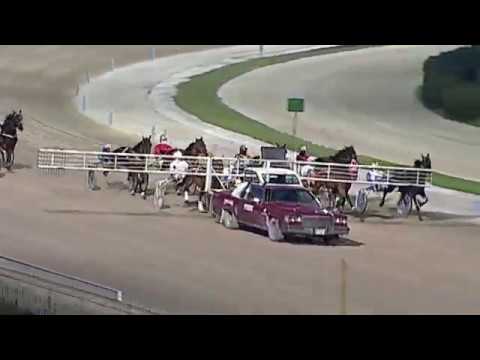 Aversa trotto 8 Febbraio 2020 - 6° Corsa