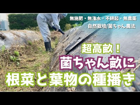 オーストラリアのエコゾーン: 学名別の種子植物 (E)について詳しく解説